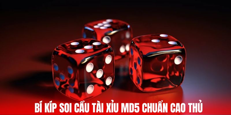 Bí kíp soi cầu Tài Xỉu MD5 chuẩn cao thủ