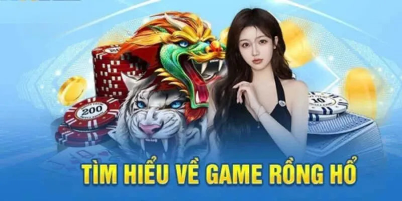 Tìm hiểu rồng hổ đại chiến 8us